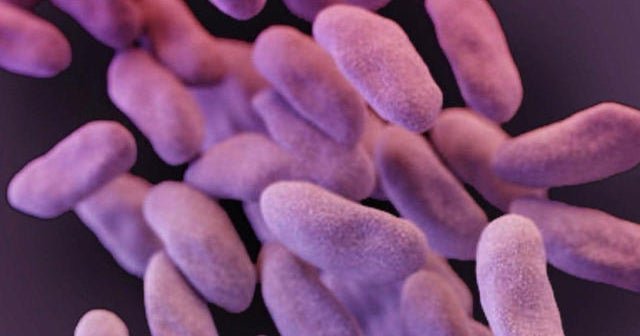 WHO Warns of Rising Drug-Resistant Superbugs Threatening Global Health